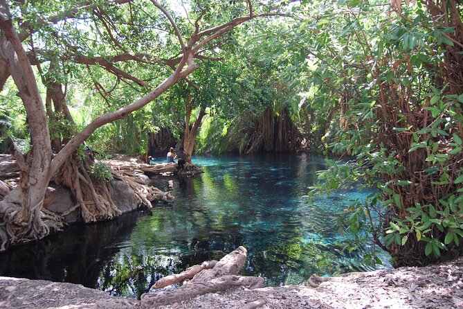 Chemka Hot Springs Day Trip - Arriving at the Kikuletwa oasis