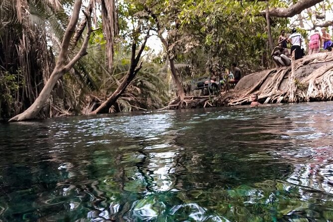 Chemka Hotsprings - The drive through TPC farms and local villages