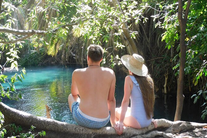 Chemka (Kikuletwa) Hot Springs, Tanzania - Arriving at the fig-tree springs