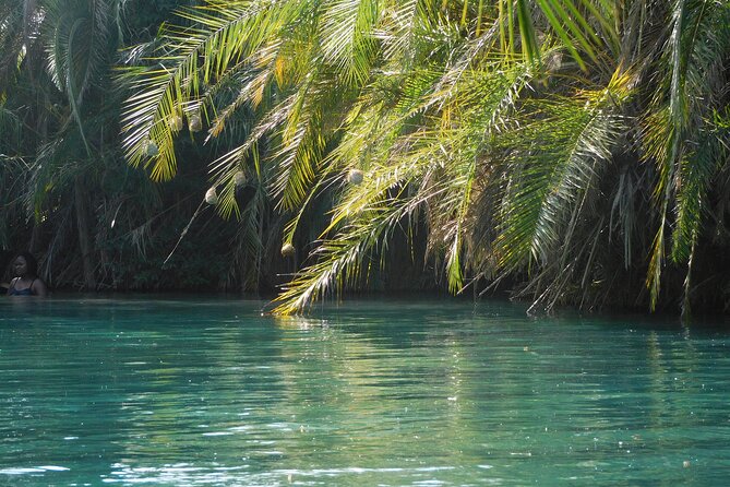 Chemka (Kikuletwa) Hot Springs, Tanzania - Swimming, shade, and time at the water