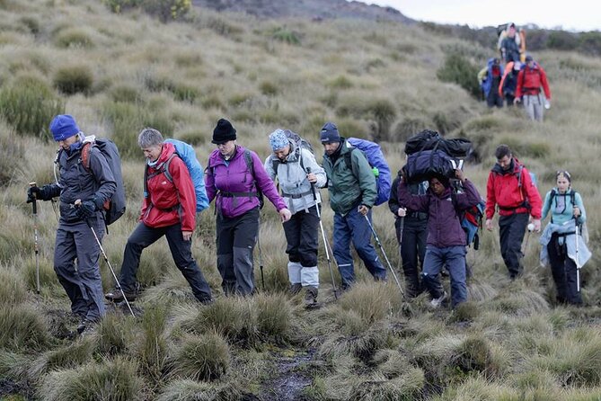 Climb Kilimanjaro, 7 Days Machame Route Hiking - Days 2 and 3: Let the route do its acclimatization work