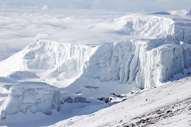 Climb Kilimanjaro 8-Day Lemosho Route with Stunning Scenic Views - Day 4: Lava Tower acclimatization and Barranco Camp