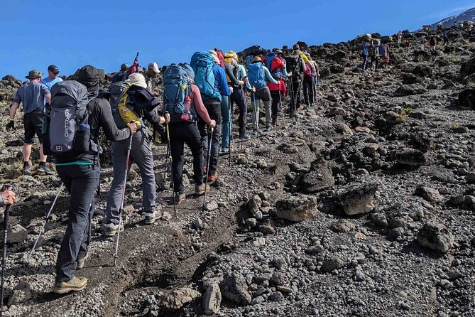 Climb Kilimanjaro in 8 Days via Lemosho Route - Day 3: A shorter acclimatization day on Shira