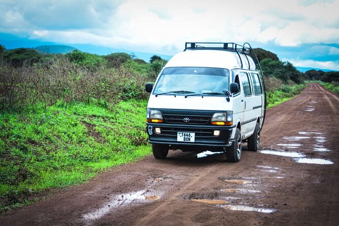 Climb Kilimanjaro in 8 Days via Lemosho Route - Day 5: Up the Barranco Wall to Karanga