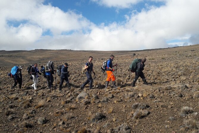 Climb Kilimanjaro - Lemosho Route 7 Day Climb - Key points to know before booking