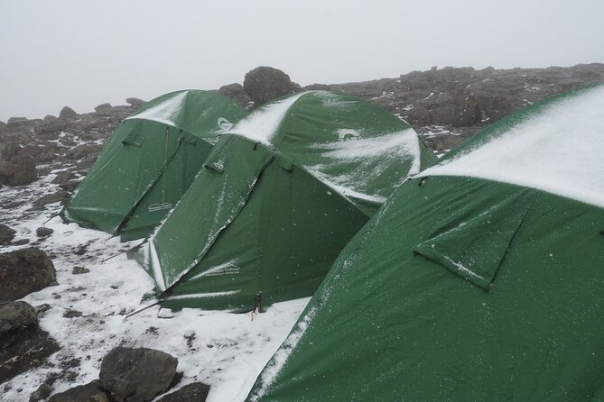 Climb Kilimanjaro - Lemosho Route 7 Day Climb - Day 3: Mti Mkubwa to Shira Camp