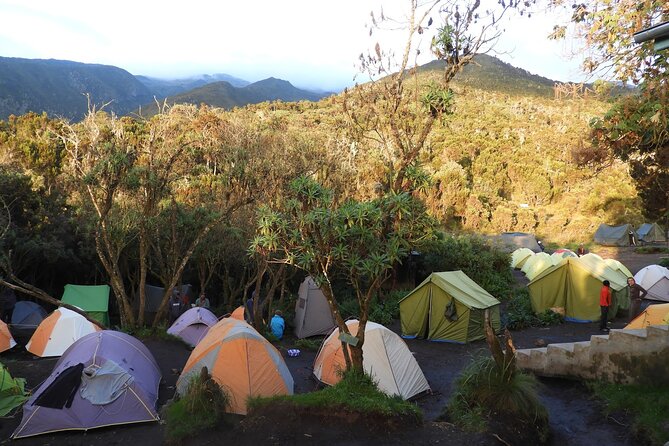 Climb Kilimanjaro - Lemosho Route 7 Day Climb - Day 6: Barranco preparation and the final camp