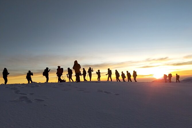 Climb Kilimanjaro - Lemosho Route 7 Day Climb - Day 1: Airport arrival and a useful hotel night