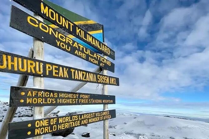 Climb Kilimanjaro Machame Route 7 Days - Day 2: Machame Camp to Shira Camp