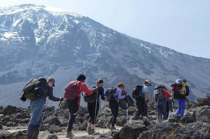 Climb Kilimanjaro - Marangu Route 8 Day Program - Day 2: Marangu Gate to Mandara Hut