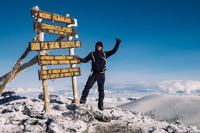 Climbing Kilimanjaro - Machame Route - Day 2: Moorland and the open Shira Plateau