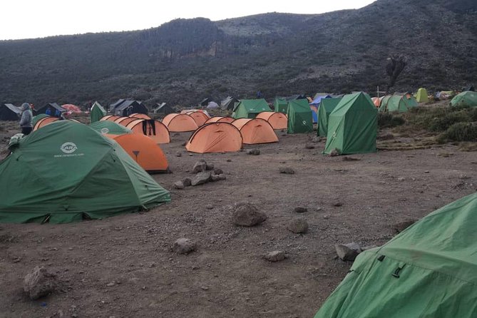 Climbing Kilimanjaro - Machame Route - Day 4: Barranco Wall and the exposed Barafu ridge