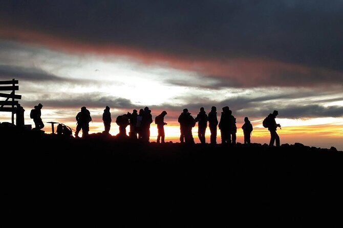 Climbing Kilimanjaro - Machame Route - Day 5: Stella Point, sunrise, and Uhuru Peak