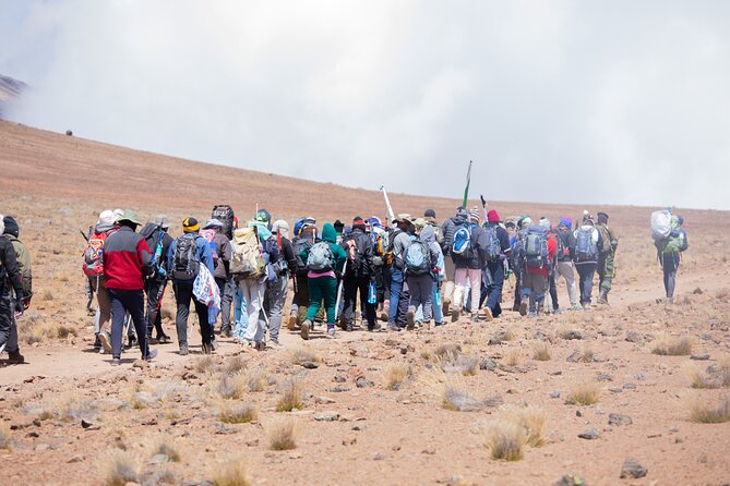 Climbing Kilimanjaro - Marangu Route - Day 1: From Marangu Gate into the rainforest
