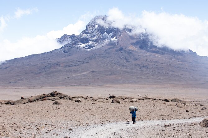 Climbing Kilimanjaro - Marangu Route - Day 2: Heathland, giant plants, and the Horombo Huts