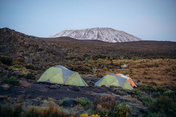 Climbing Kilimanjaro through 7 days Machame Route - Day 2 and the approach to Shira Camp