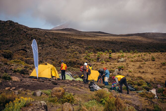 Climbing Kilimanjaro through 7 days Machame Route - Descending by the Mweka Trail