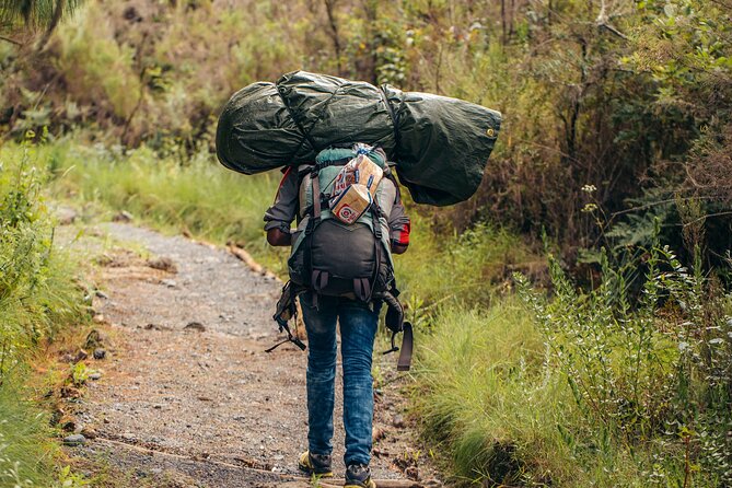 Climbing Kilimanjaro through 8 days Lemosho Route - The guide team and personal support