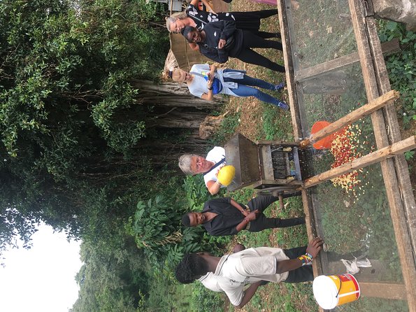 Coffee tour and Buffet Lunch with Kingstone Asilia (Arusha) - Picking ripe cherries by hand