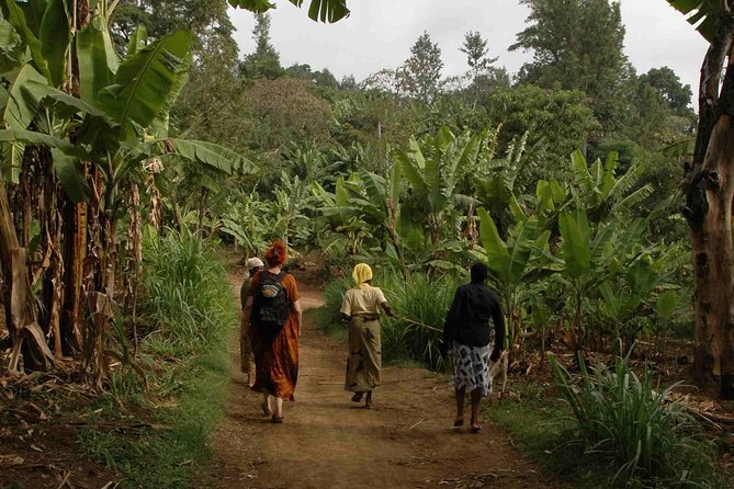 Coffee walk with stay in the village - Comparing traditional and organic coffee production