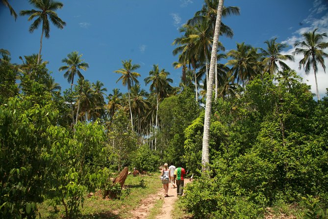 Come and taste the Zanzibar feelings - Meeting the local plantation guide