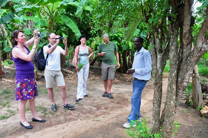 Come and taste the Zanzibar feelings - Is this really a Stone Town tour?