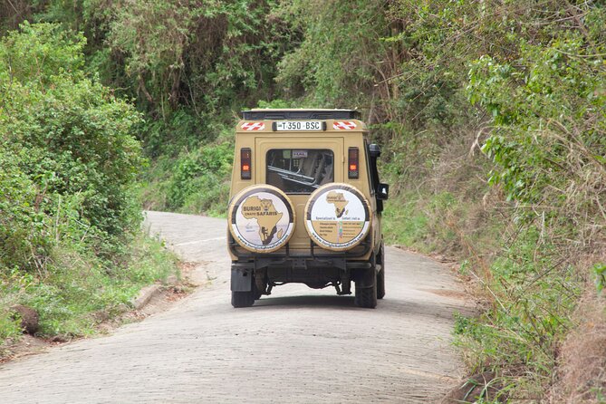 Common 5 Days Tanzania Serengeti Big 5 Private Safari | BURIGI CHATO SAFARIS - Day 4: Morning Serengeti drive toward Ngorongoro