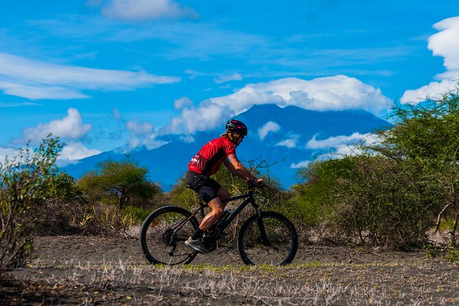 Cycling from Kilimanjaro to Ngorongoro Crater - Guides, support, and the feel of a private trip