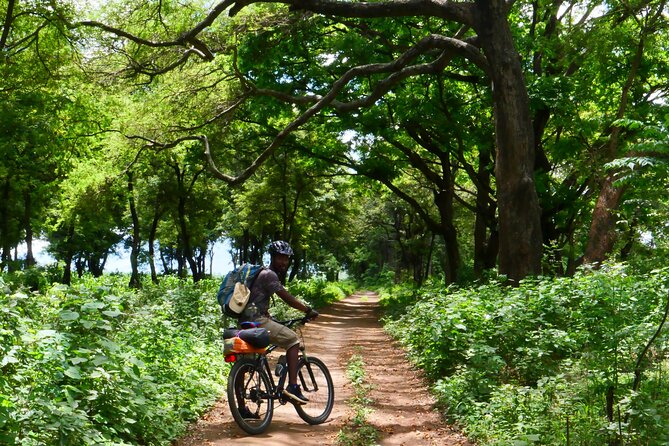 Cycling through the TPC plantations - What the $66.67 price really covers