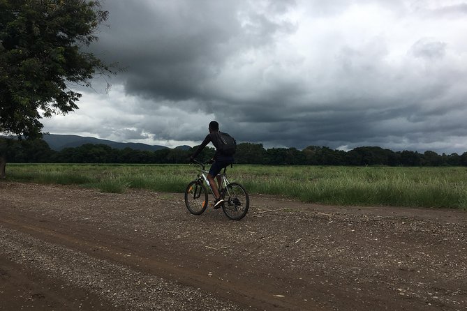 Cycling through the TPC plantations - Why the flat route is a real advantage