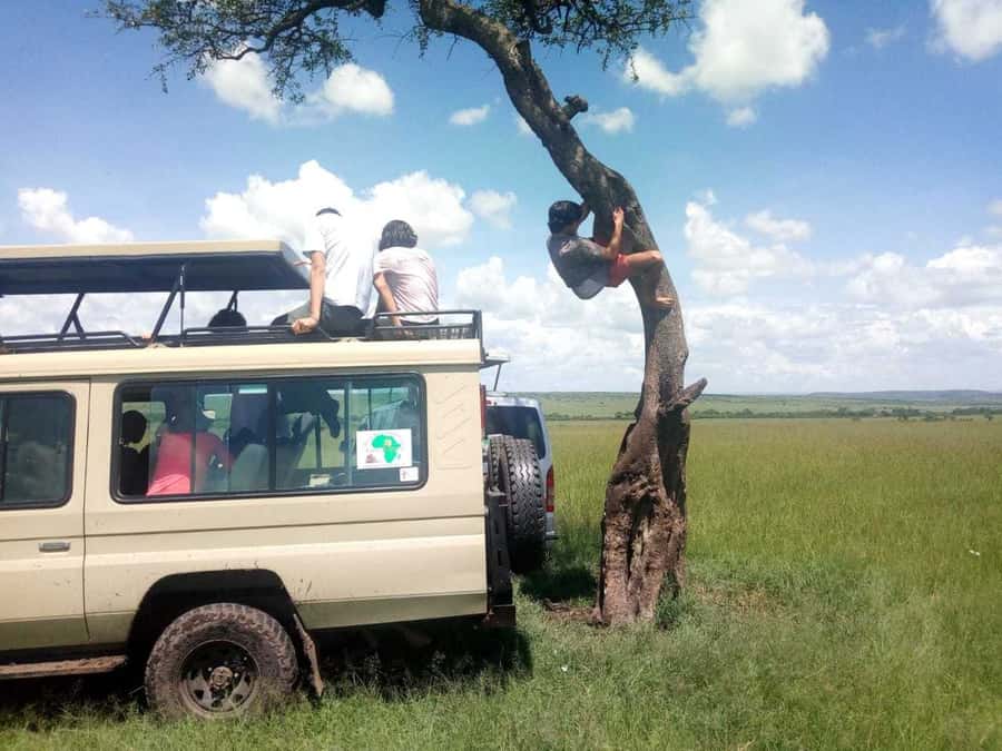 Dar el Salam: Full-Day Mikumi National Park Tour - Lunch breaks up the game drive