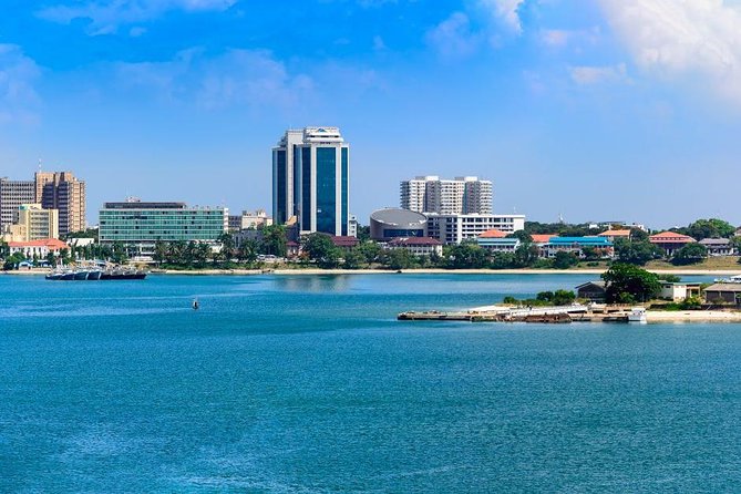 Dar Es Salaam City Tour. All Must See Things (Private Guide and car) Full day - Kivukoni Fish Market, where the city starts early