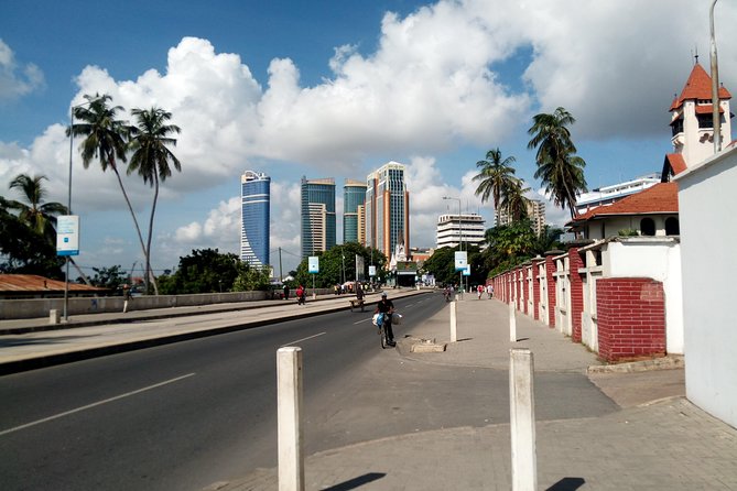 Dar es Salaam City tour and Beach Leisure - 9 hours - Key points to know before booking