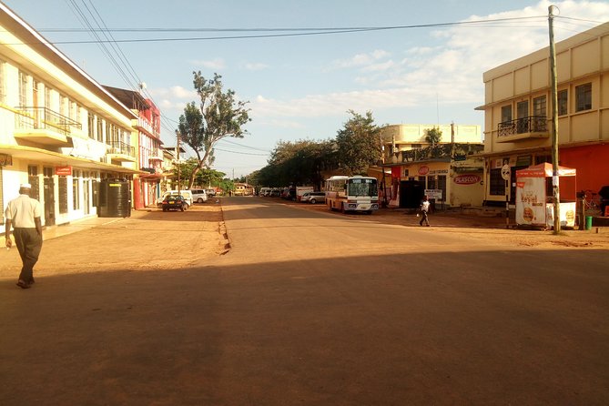 Dar es Salaam City Walking tour - Explore the Life of the Local People! - The fish market brings the city to your senses