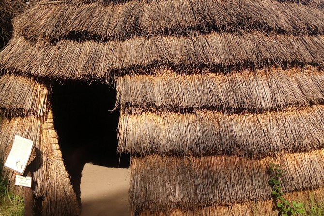 Dar es Salaam City Walking tour - Explore the Life of the Local People! - Walking and public transport are part of the lesson