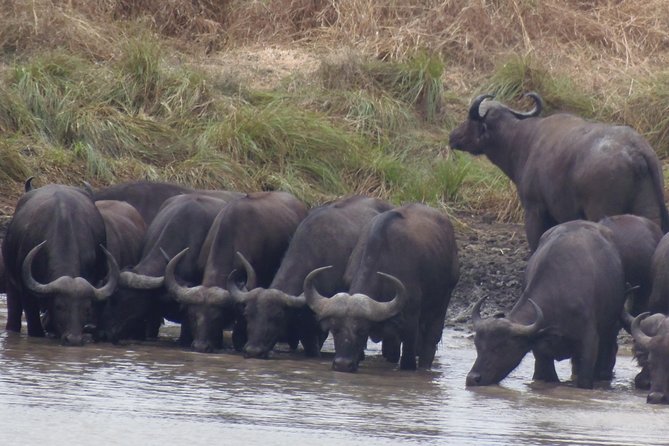Dar Es Salaam: Day Trip Safari to Mikumi National Park by Train - How long the day really feels