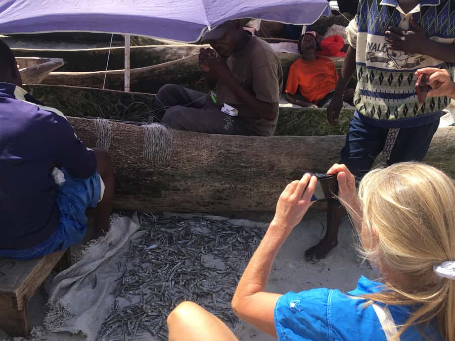 Dar es Salaam: Experience the real Dar es Salaam (City Tour) - Kariakoo Market: start with the city’s daily rhythm