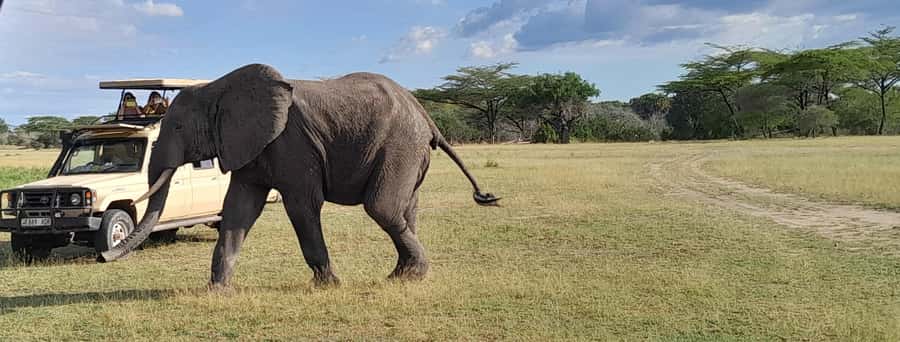 Dar es Salaam: Mikumi National Park Day Trip with Train Ride - Key points to know before booking