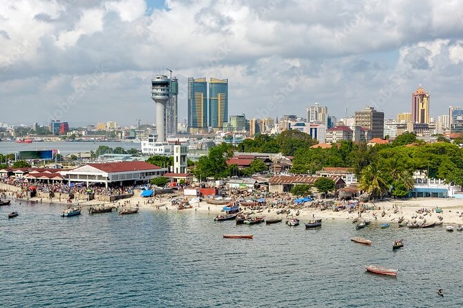 Dar es salaam Private City Tour with Professional Guide - Ferry Fish Market and the coastal side of Dar es Salaam