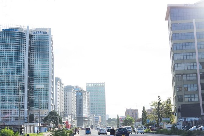 Daressalaam city sightseeing private tour - Botanical Gardens and the City’s Plant Life