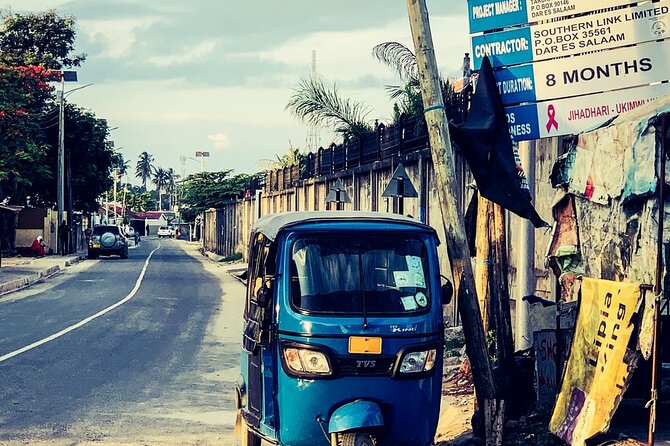 Daressalaam city sightseeing private tour - What the Private Format Adds