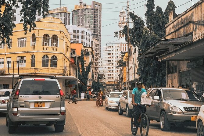 Daressalaam city sightseeing private tour - Kivukoni Fish Market and the Morning Catch