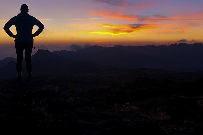 Day Hike to Mount Kilimanjaro (Mandara Hut) - Reaching Mandara Hut and seeing the three peaks