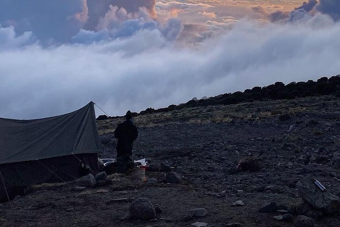 Day Hike to Mount Kilimanjaro (Mandara Hut) - The walk back to Marangu Gate