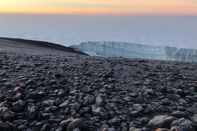 Day Hike to Mount Kilimanjaro (Mandara Hut) - What the private guide adds
