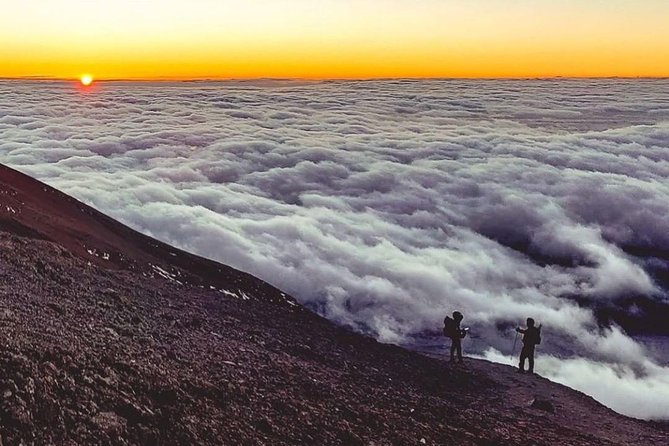Day Hike to Mount Kilimanjaro (Mandara Hut) - Equipment, fitness, and comfort