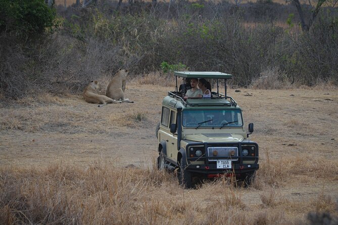Day Safari Tour Selous Game Reserve - Key points to know before booking