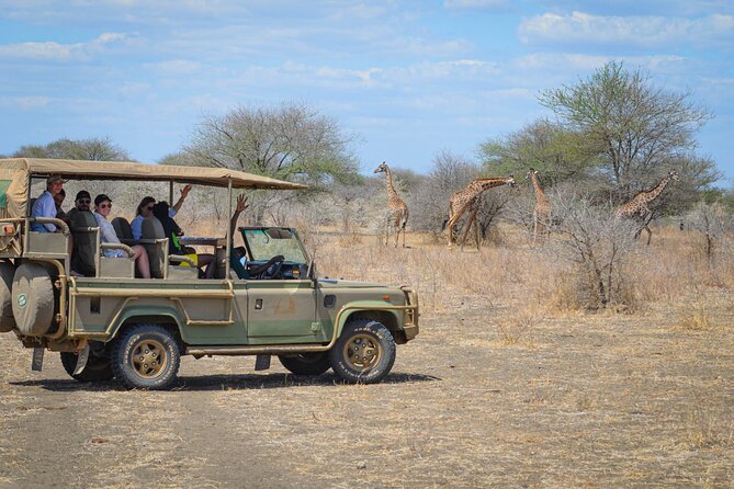 Day Safari Tour Selous Game Reserve - Savannah, water, and the search for wildlife