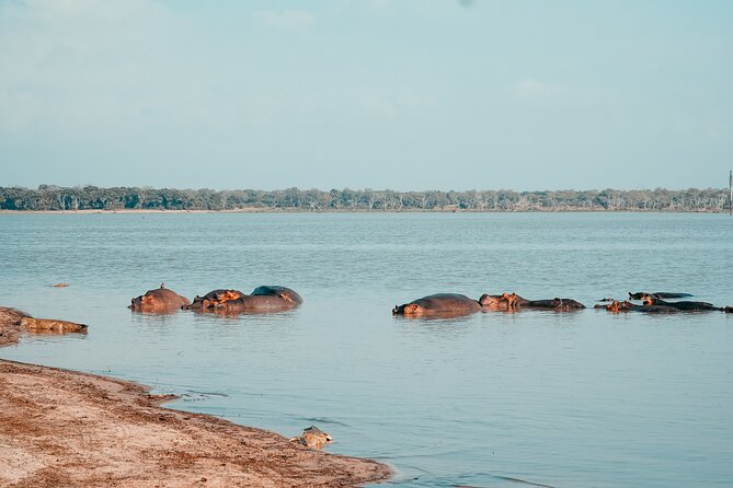 Day Safari Tour Selous Game Reserve - The picnic lunch and the midday pause