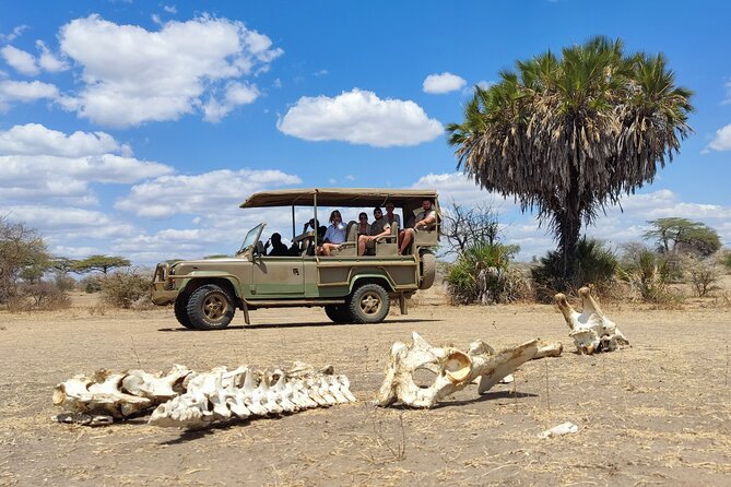 Day Safari Tour Selous Game Reserve - Is $600 per person good value?